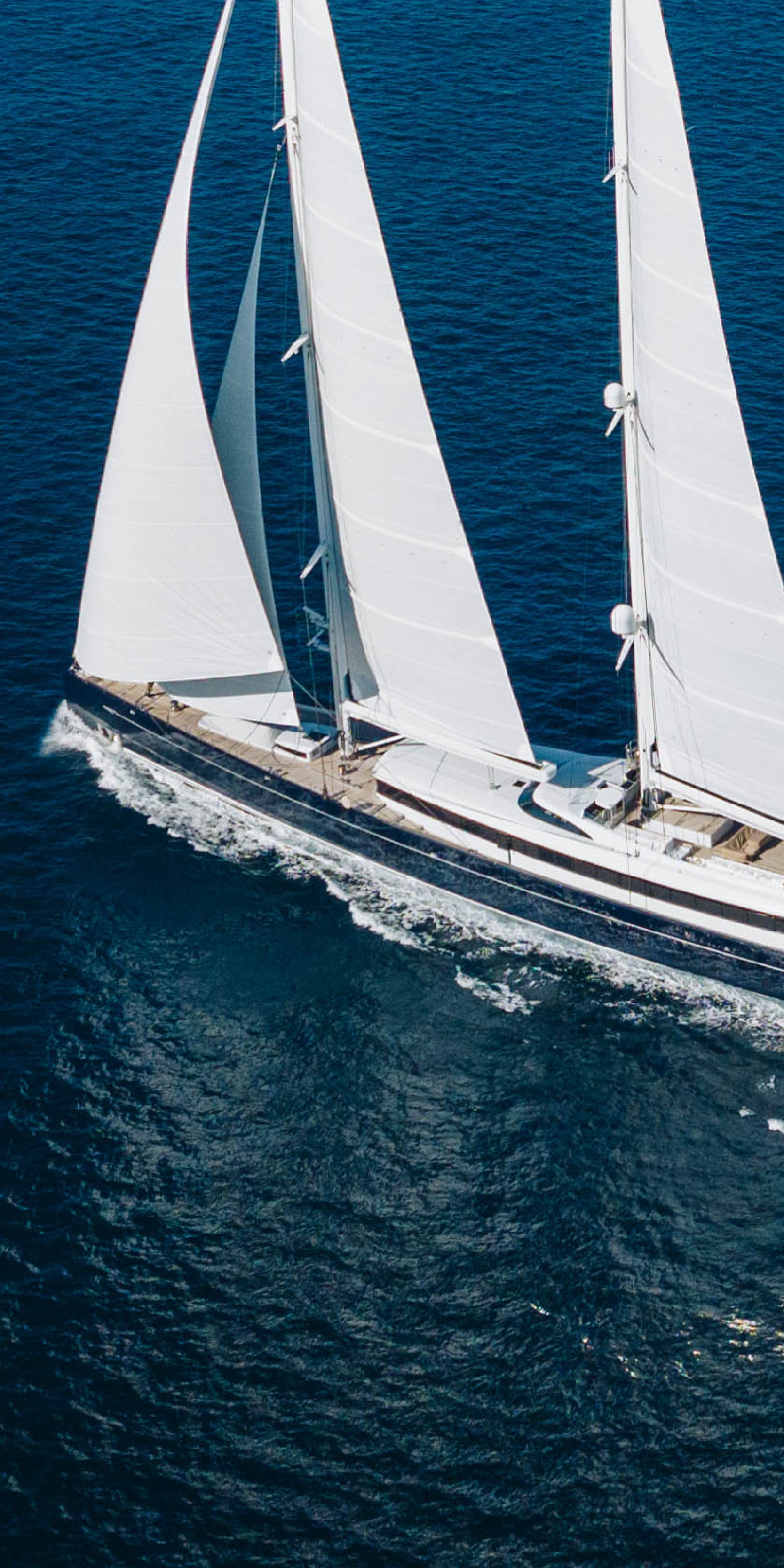 North Sails  Worldwide Leader in Sailmaking and Timeless Apparel